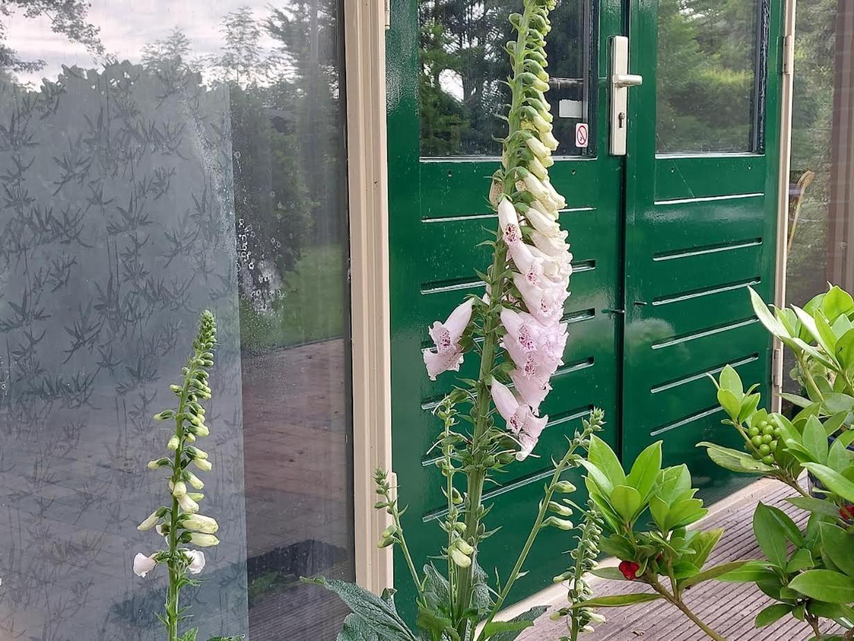 Appartement De Molshoop Landsmeer Kültér fotó